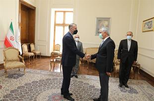 الدکتور أمیر عبداللهیان یستقبل الأمین العام لمنظمة التعاون الاقتصادی